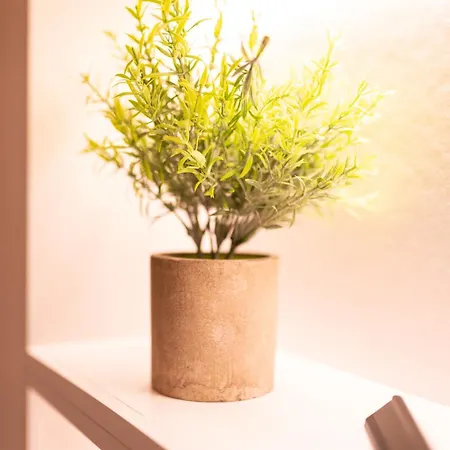 Apartamento Seran Ii
